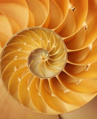 Reflections on completing a Masters